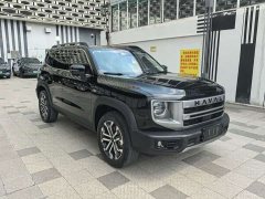 Great Wall Dachshund 1.5T DCT Border Collie Edition - ფოტო 2