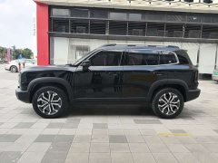 Great Wall Dachshund 1.5T DCT Border Collie Edition - ფოტო 5