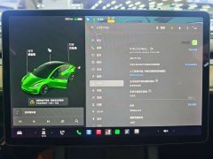 Tesla Model 3 Facelift Standard Range RWD Upgrade 3D1 - ფოტო 20