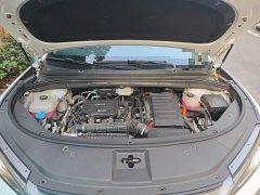 BYD Song L DM-i 112km Transcendence - ფოტო 16