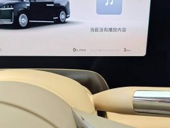 Luxeed Zhiji V9 Ultra - ფოტო 12