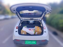 Nio Firefly Luminous Edition - ფოტო 15