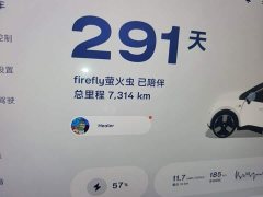 Nio Firefly Luminous Edition - ფოტო 8