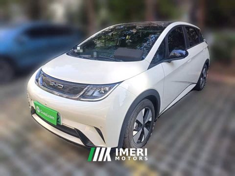 2023 BYD Dolphin 420km Fashion Edition - ავტომობილი ჩინეთიდან