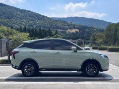 Neta V Chao 300 Industry Custom Edition - ფოტო 4