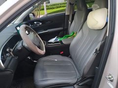 Geely Star Wish 2026 410km Freedom Edition - ფოტო 11