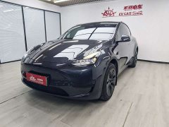 Tesla Model Y Rear-Wheel Drive - ფოტო 1