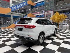 Haval M6 2021 PLUS 1.5T DCT Elite Smart Connected Edition - ფოტო 7