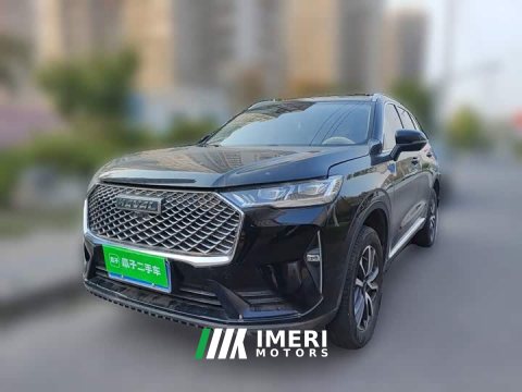 2024 Haval H6 2022 Third Generation 1.5T Automatic Two-Wheel Drive Pro - ავტომობილი ჩინეთიდან