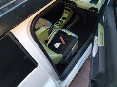 Geely Panda Mini New Spring Edition Treasure Bear - ფოტო 19