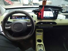 Geely Panda Mini New Spring Edition Treasure Bear - ფოტო 5