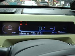 Geely Panda Mini New Spring Edition Treasure Bear - ფოტო 7