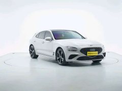 Genesis G70 2.0T Hunt Edition Rear-Wheel Drive Luxury Shooting Brake - ფოტო 9