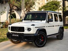 Mercedes-Benz G-Class G 500 - ფოტო 1