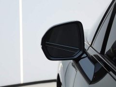 Zeekr Geely Zeekr 009 2024 Seven-Seat Aisle Version AWD 108kWh - ფოტო 16