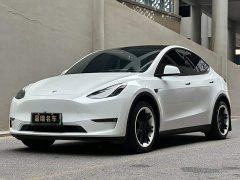 Tesla Model Y Long Range All-Wheel Drive - ფოტო 1
