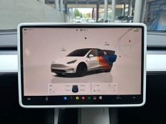 Tesla Model Y Long Range All-Wheel Drive - ფოტო 13