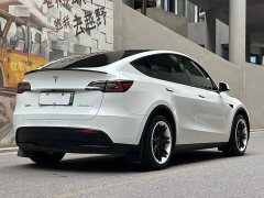 Tesla Model Y Long Range All-Wheel Drive - ფოტო 5