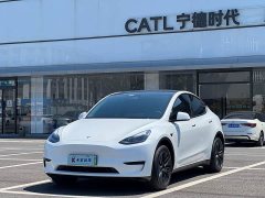 Tesla Model Y Rear-Wheel Drive - ფოტო 1
