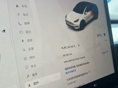 Tesla Model Y Rear-Wheel Drive - ფოტო 14