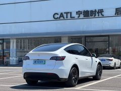 Tesla Model Y Rear-Wheel Drive - ფოტო 3
