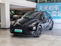 Tesla Model Y Long Range All-Wheel Drive - ფოტო 1
