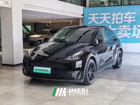 2021 Tesla Model Y Long Range All-Wheel Drive - ავტომობილი ჩინეთიდან