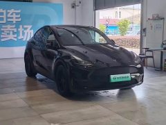 Tesla Model Y Long Range All-Wheel Drive - ფოტო 3