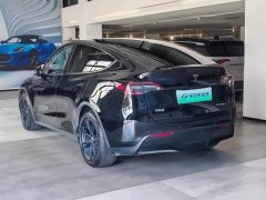 Tesla Model Y Long Range All-Wheel Drive - ფოტო 6