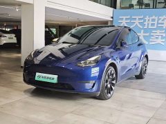 Tesla Model Y Long Range All-Wheel Drive - ფოტო 1