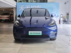 Tesla Model Y Long Range All-Wheel Drive - ფოტო 2
