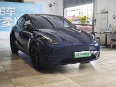 Tesla Model Y Long Range All-Wheel Drive - ფოტო 3