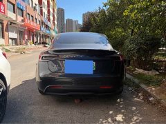 Tesla Model 3 2023 Rear-Wheel Drive - ფოტო 16