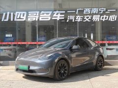 Tesla Model Y Long Range All-Wheel Drive - ფოტო 1