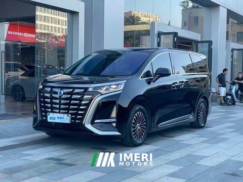 2024 Denza BYD Denza D9 DM-i 1050 Premium - ავტომობილი ჩინეთიდან