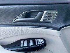 Denza BYD Denza D9 DM-i 1050 Premium - ფოტო 19