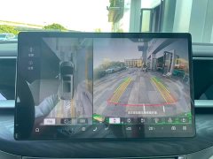 Denza BYD Denza D9 DM-i 1050 Premium - ფოტო 8
