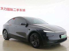 Tesla Model Y Rear-Wheel Drive - ფოტო 3