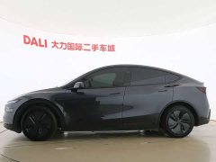 Tesla Model Y Rear-Wheel Drive - ფოტო 6
