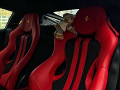 Ferrari F8 2019 Tributo 3.9T V8 - ფოტო 8