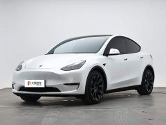 Tesla Model Y Long Range All-Wheel Drive 3D7 - ფოტო 1