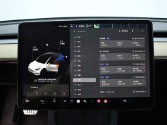 Tesla Model Y Long Range All-Wheel Drive 3D7 - ფოტო 12