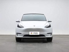 Tesla Model Y Long Range All-Wheel Drive 3D7 - ფოტო 2