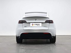 Tesla Model Y Long Range All-Wheel Drive 3D7 - ფოტო 4