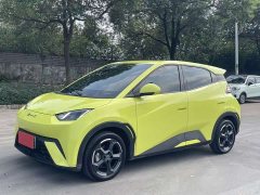 BYD Seagull Glory Edition 305km Freedom Version - ფოტო 1
