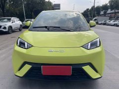 BYD Seagull Glory Edition 305km Freedom Version - ფოტო 2
