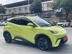 BYD Seagull Glory Edition 305km Freedom Version - ფოტო 3