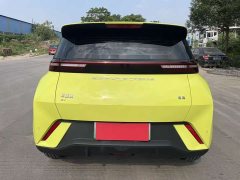 BYD Seagull Glory Edition 305km Freedom Version - ფოტო 8