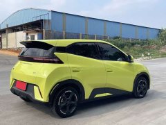 BYD Seagull Glory Edition 305km Freedom Version - ფოტო 9