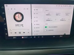 XPeng P7 670G - ფოტო 11